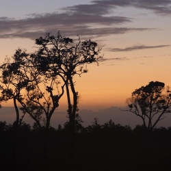 Belize