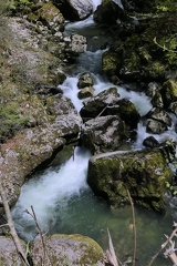 PANA0425 copy 1824x2736