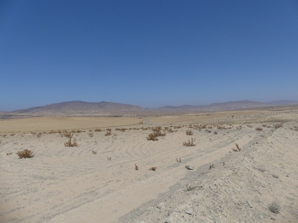 P1080894 copy 2000x1500