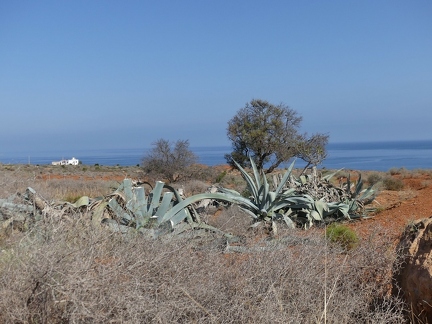 P1080879 copy 2000x1500