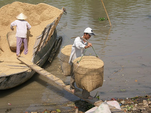 2010/2011 - A véo couché du Myanmar à la Russie et retour. Vietnam