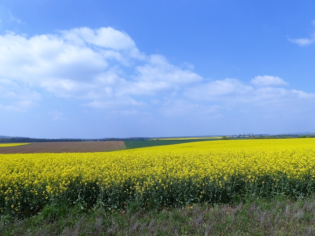 Tour d'Europe à vélo