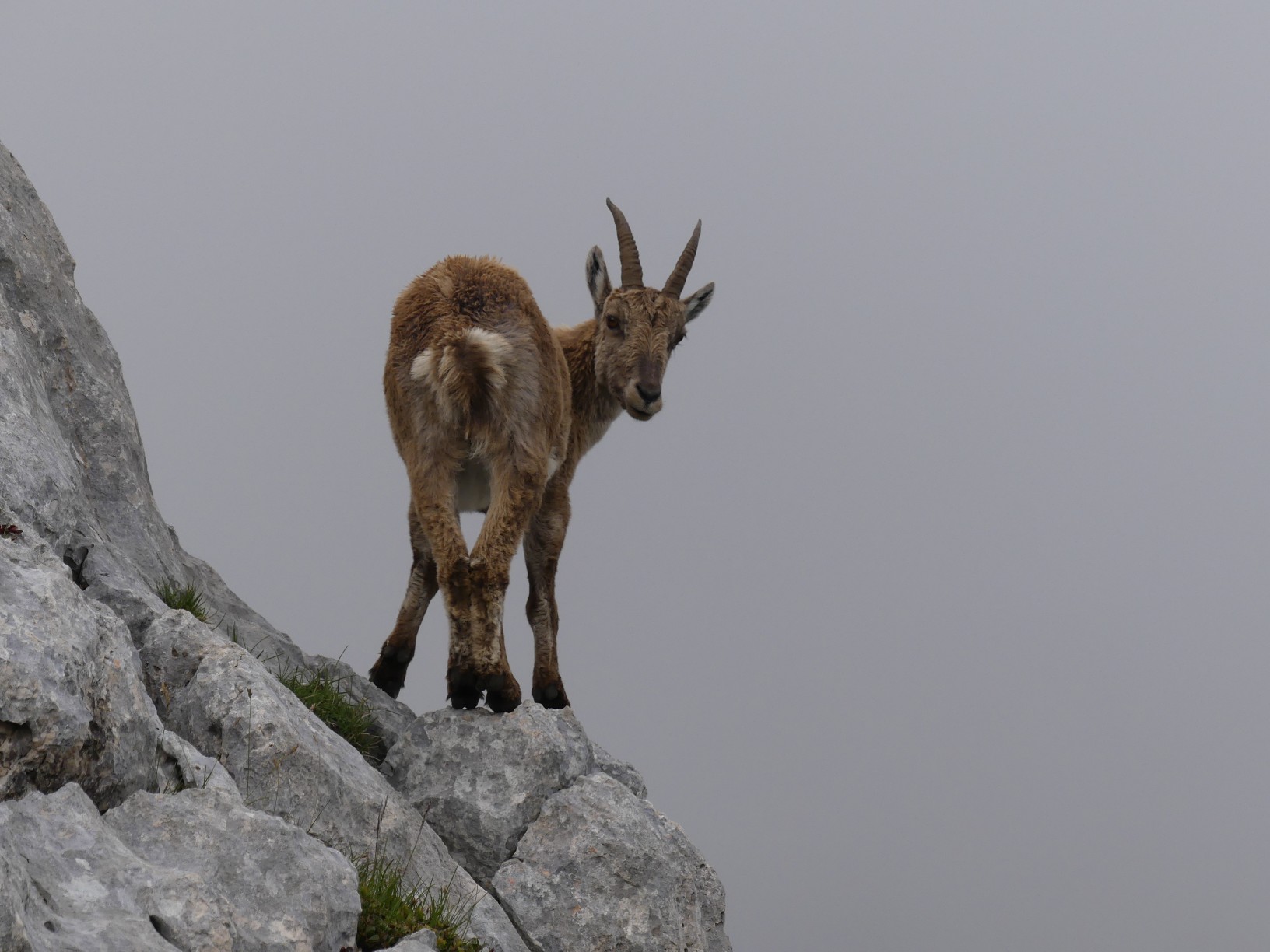 Traversée des Alpes à pied