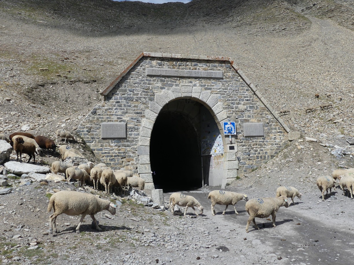 Traversée des Alpes à pied