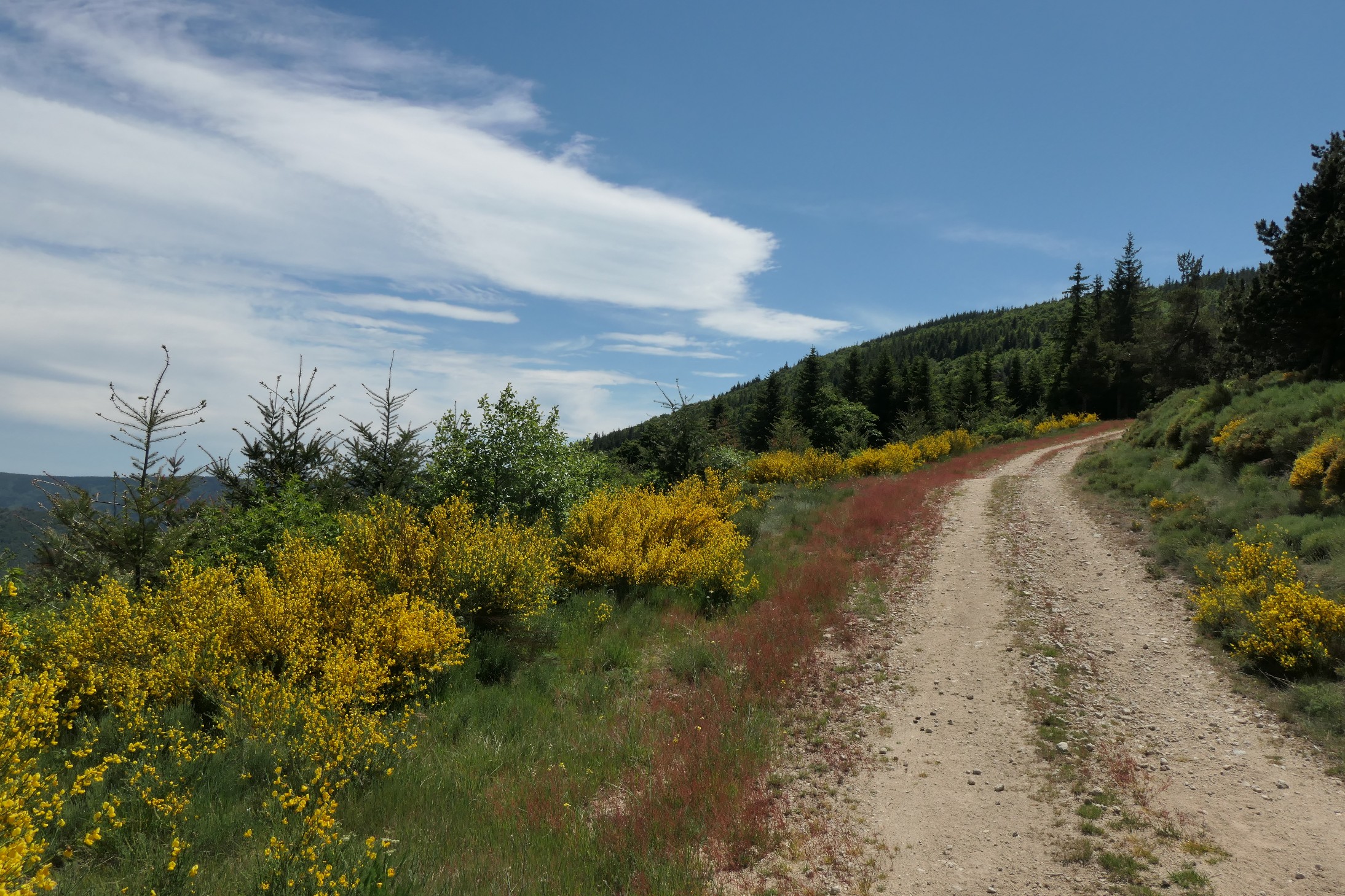 Les Pyrénées à pied