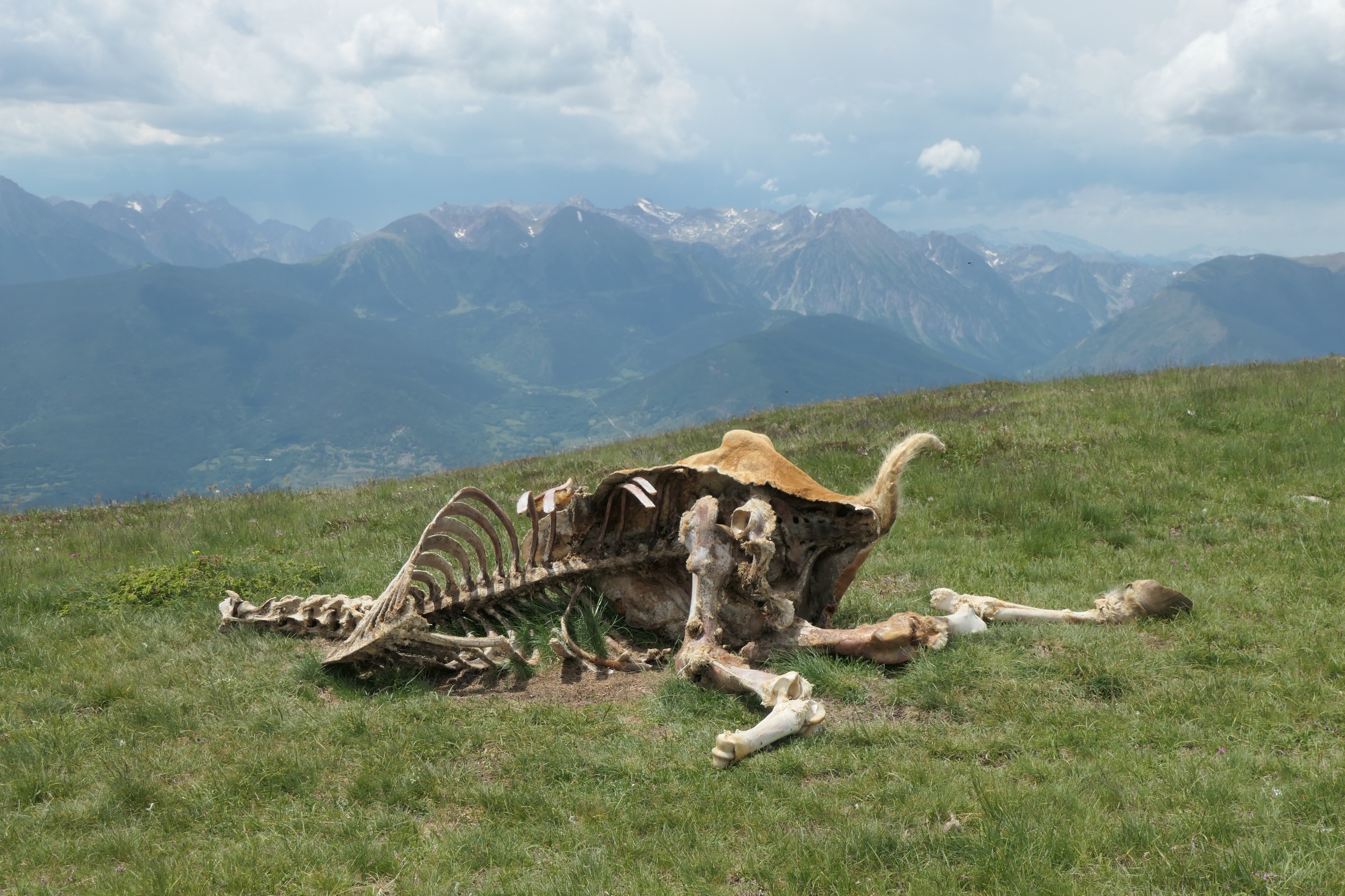 Les Pyrénées à pied