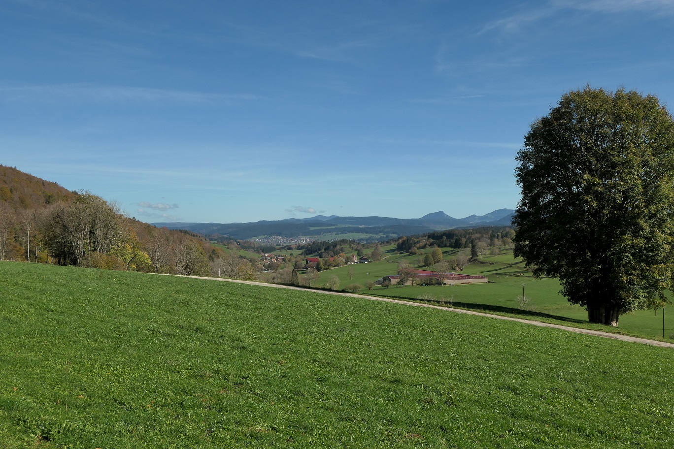 Plateau des 1000 étangs et ballons