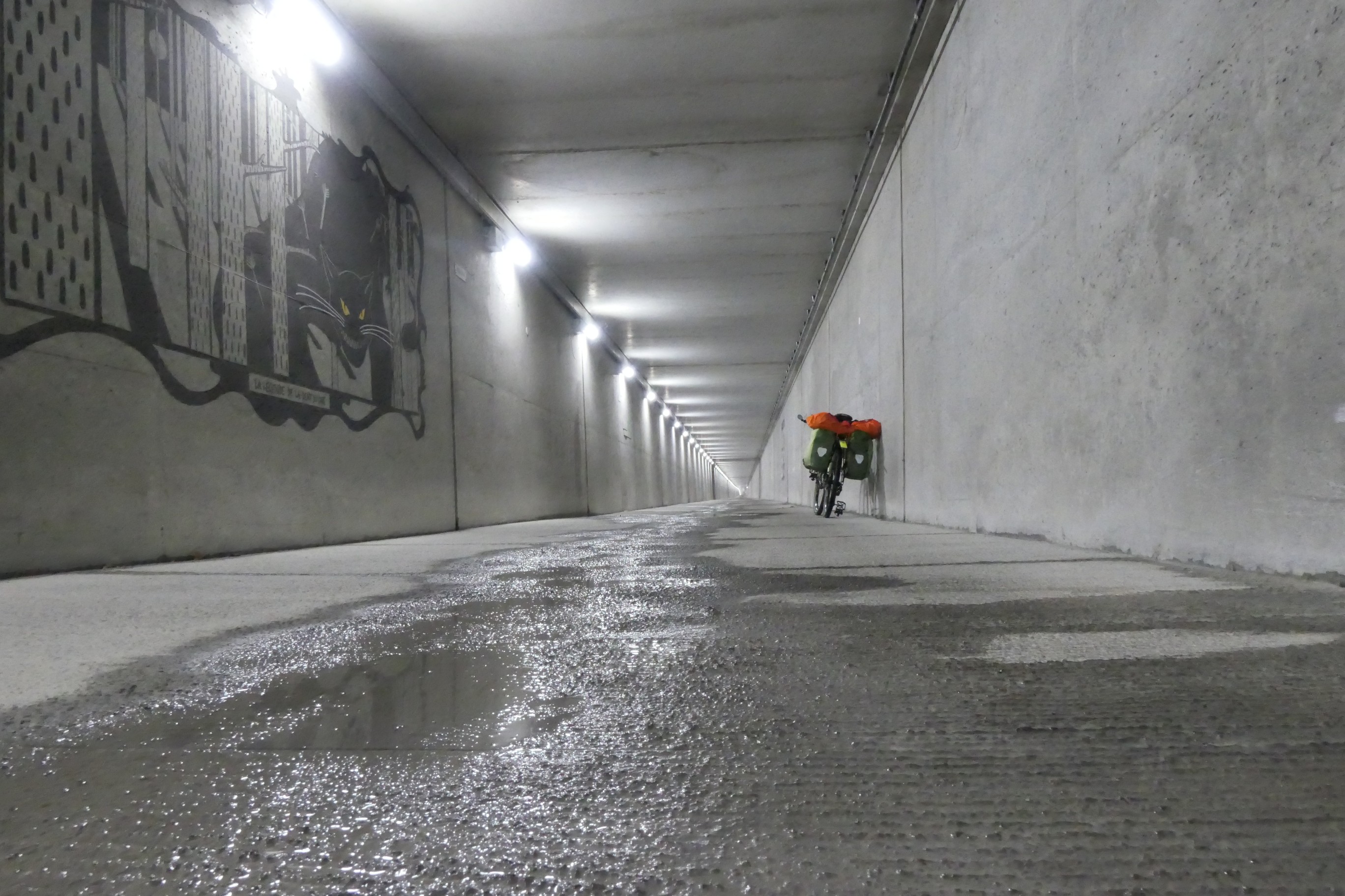 Tunnel du Chat