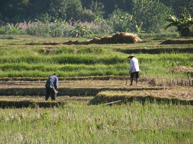 2010/2011 - A véo couché du Myanmar à la Russie et retour. Thaïlande