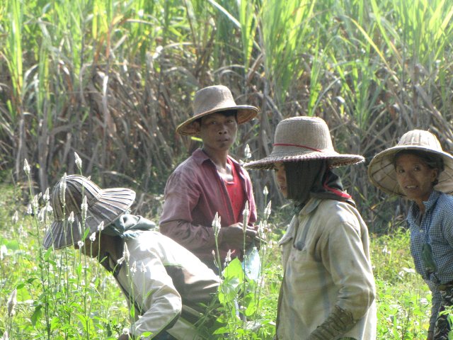 2010/2011 - A véo couché du Myanmar à la Russie et retour. Myanmar