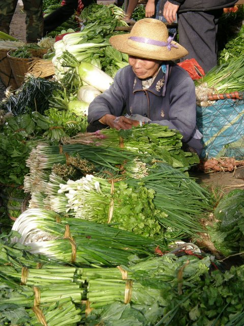 2010/2011 - A véo couché du Myanmar à la Russie et retour. Chine