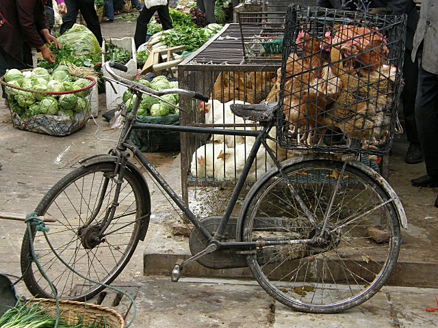 2010/2011 - A véo couché du Myanmar à la Russie et retour. Chine