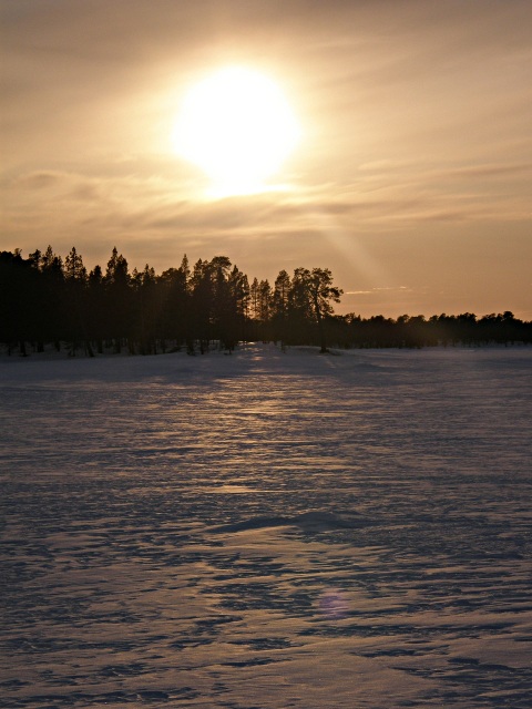 2013 - Dans le grand nord finlandais en ski-pulka-chien.