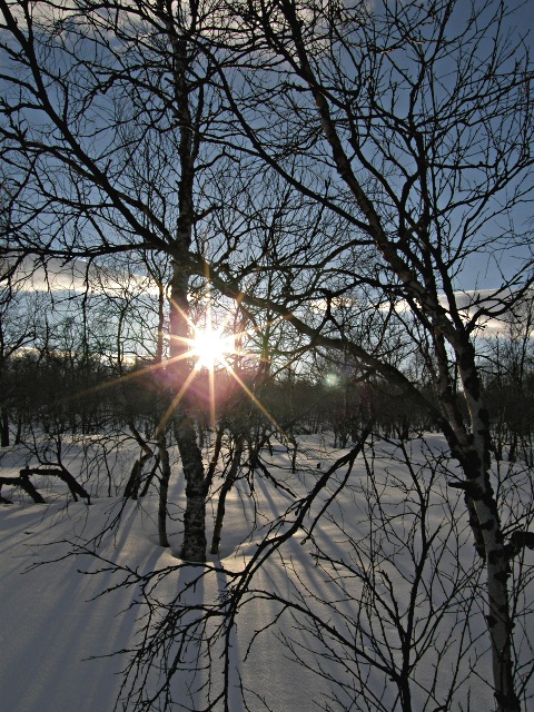 2013 - Dans le grand nord finlandais en ski-pulka-chien.