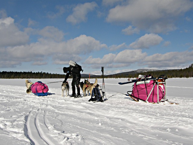 2013 - Dans le grand nord finlandais en ski-pulka-chien.