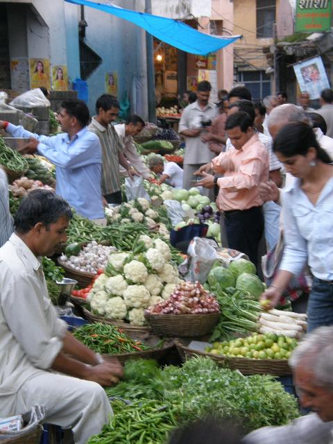 2009 - A vélo couché du Kazakhstan à l'Inde. Inde