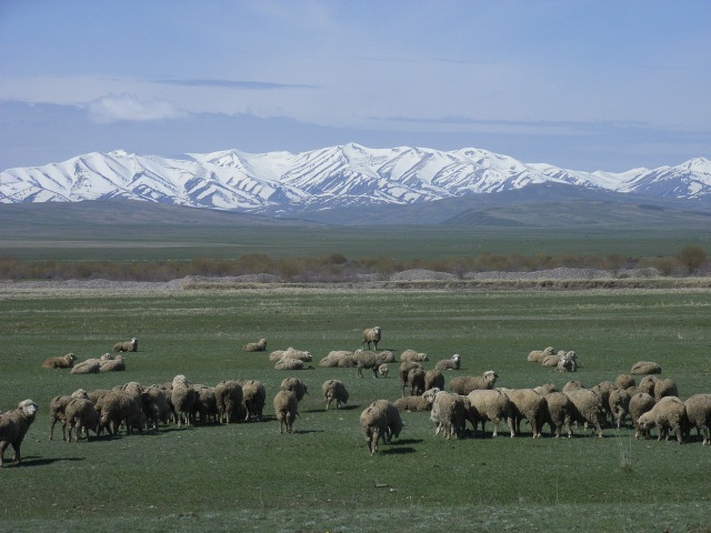 2009 - A vélo couché du Kazakhstan à l'Inde. Kirghizistan