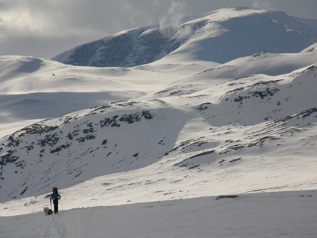 2010 - Dans le grand nord suèdois en ski-pulka-chien.