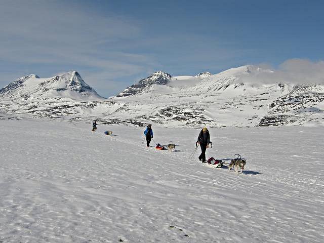 2010 - Dans le grand nord suèdois en ski-pulka-chien.